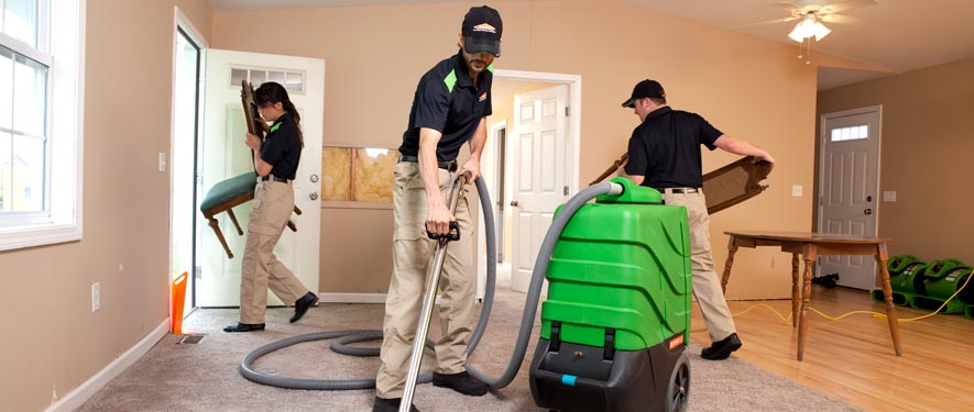 Jackson, WY cleaning services